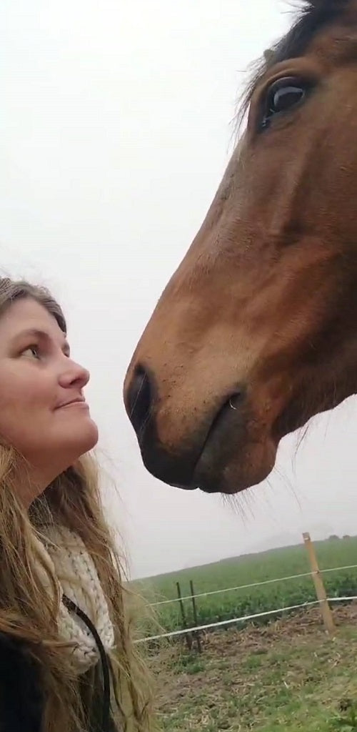 Formation communication animale - niveau 1 Équilibre d'une vie